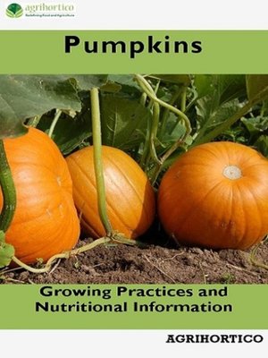 Pumpkin - ebook